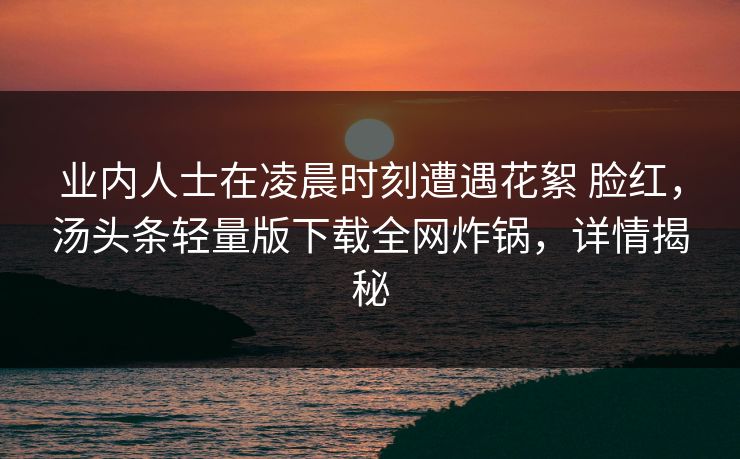 业内人士在凌晨时刻遭遇花絮 脸红，汤头条轻量版下载全网炸锅，详情揭秘