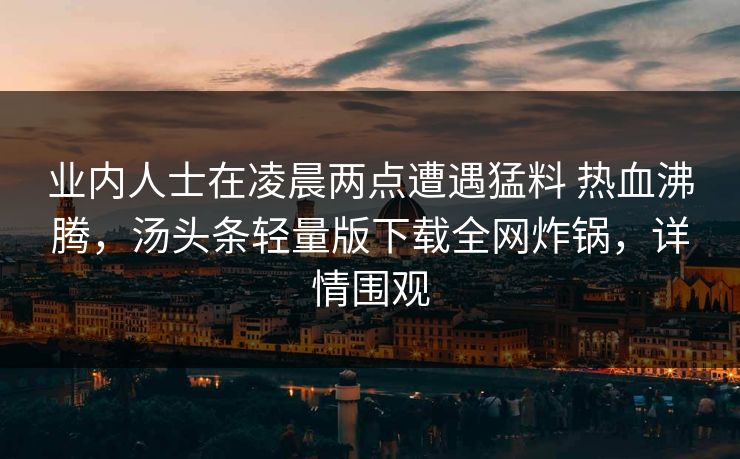 业内人士在凌晨两点遭遇猛料 热血沸腾，汤头条轻量版下载全网炸锅，详情围观