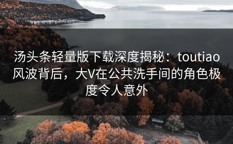 汤头条轻量版下载深度揭秘：toutiao风波背后，大V在公共洗手间的角色极度令人意外